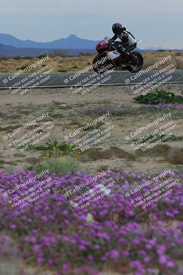media/Jan-14-2023-SoCal Trackdays (Sat) [[497694156f]]/Turn 14 Exit Bloomig (145pm)/